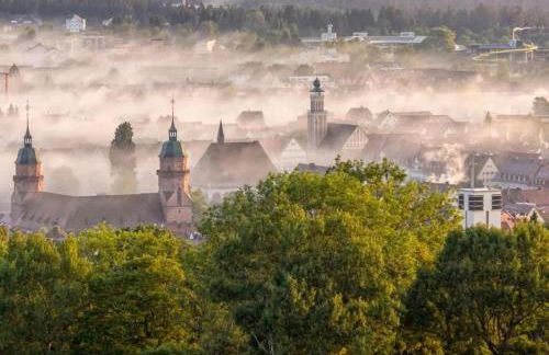 MARKT14 City Apartment Marktplatz Freundenstadt - Foto 31