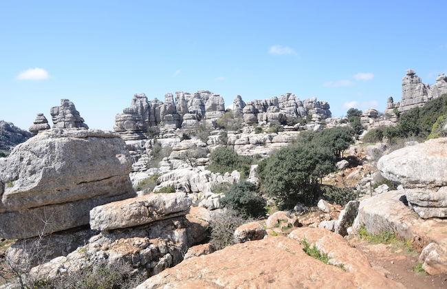 Casa Almendros - Foto 40