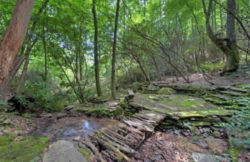 Black Bear Cabin by Carolina Mornings - Foto 41