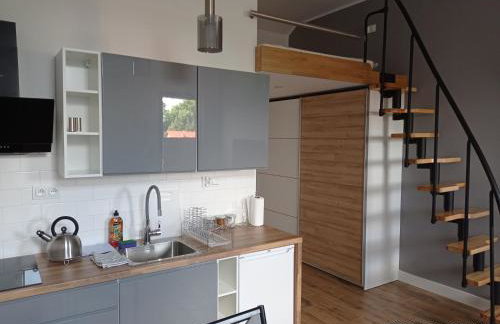 Apartamenty Kasztanowa Zator - Foto 31