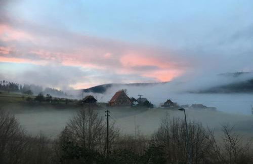 SchwarzWild - Ferienwohnung und Ferienzimmer - Foto 38