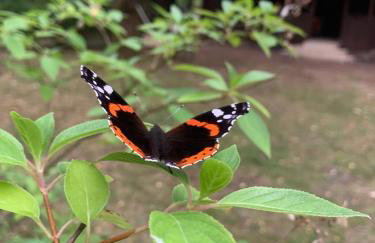 Dom z linią brzegową Narwi 3 - Photo 30