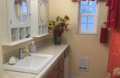 Octopus Suite - Foto 12