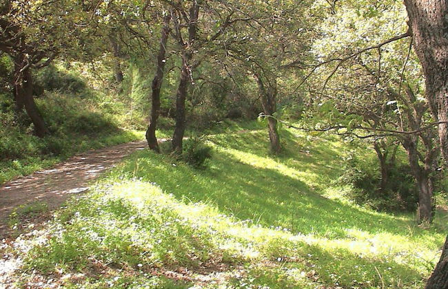 agriturismo borgo piazza - Photo 67