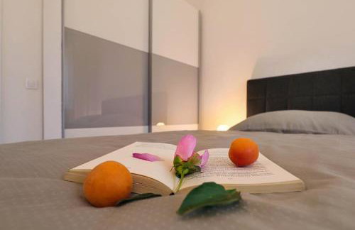 Papillon i Dolce Vita - Foto 7