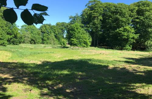 Borstel - Alte Schmiede - Foto 27