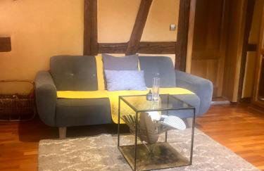 AUX DEUX CIGOGNES AMMERSCHWIHR - Foto 31