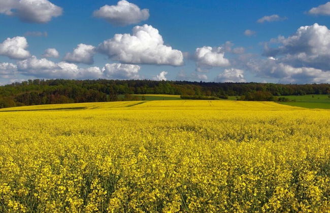 Old Town Hall Apartment in Baden-wurttemberg - Foto 21