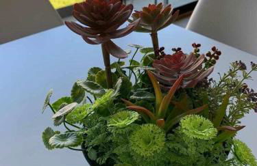 Viana do Castelo - Amonde Village Casa P - Conforto Qualidade Natureza - Foto 47