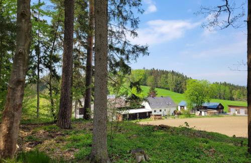 Apartment Fichtel-Tiny House by Interhome - Foto 13