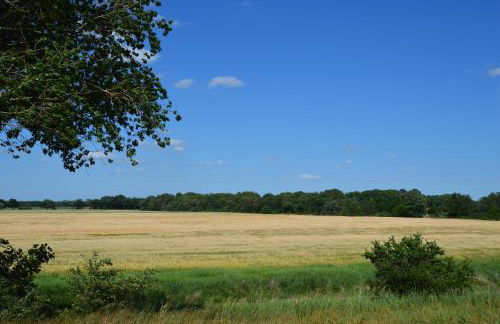 Ferienhaus Am Park - Foto 20