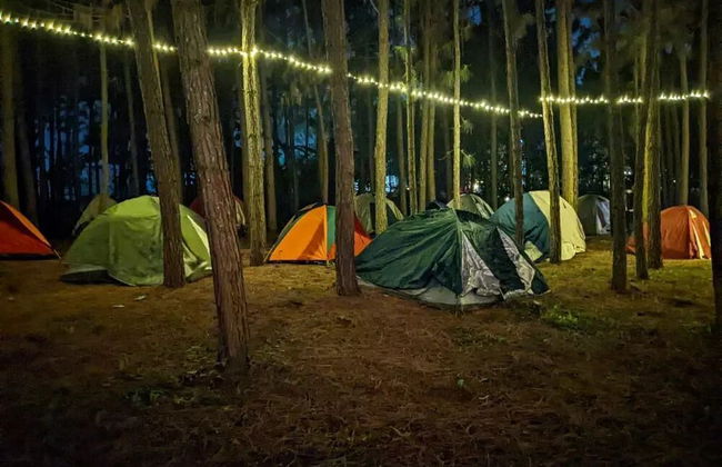 Nyungu Yamawe Forest Park - Foto 38