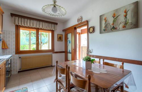 La collina dei nonni - Tarzo - Foto 30