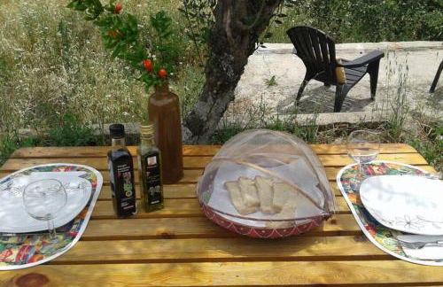 Palheirinho - Foto 23