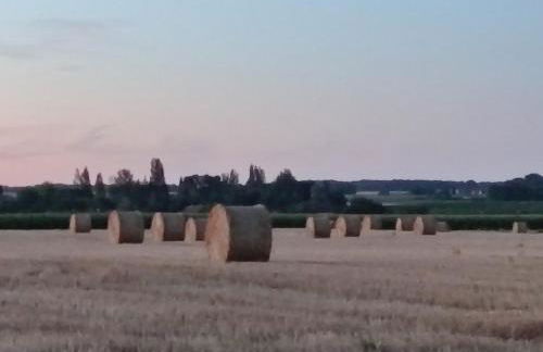 Gîte Chez jeannot SERA F E R M E en Nov 2025 - Foto 49