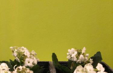 Contemporary Farmhouse with BBQ in North Evia - Photo 30