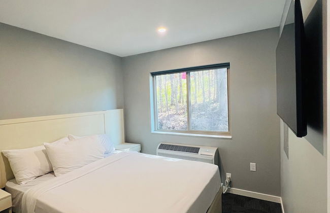 EXPLORE Munising Alger Falls - Photo 6