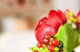 statthaus - statt Hotel - Foto 82