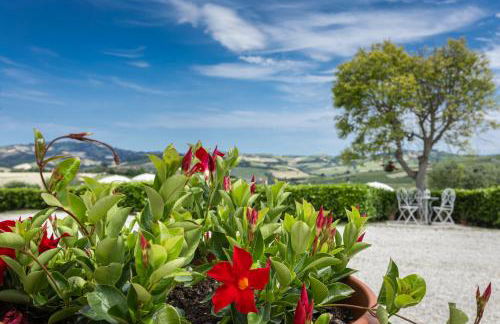 La Rosa & La Viola - Foto 18