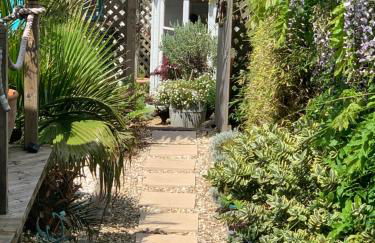 Stargazy Garden - Foto 12