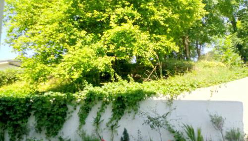 Villa Arc en Ciel et clé des champs - Foto 3