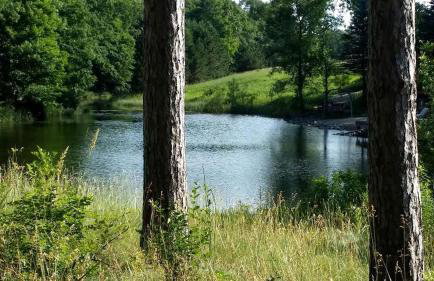 Historic Reunion, Wedding, and Event Space Rental in Central Wisconsin - Foto 10