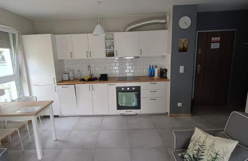 Mieszkanie Oborniki Śląskie - Foto 3