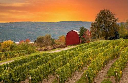 Rustic Cabin- Wineries and Breweries-Finger Lakes - Foto 19