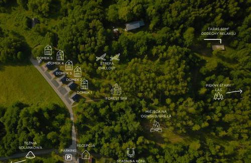 Domki W Sam Las & SPA Lubenia - Foto 11