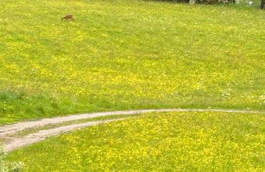 The Green Hayloft, Lakes & Dales - Photo 28