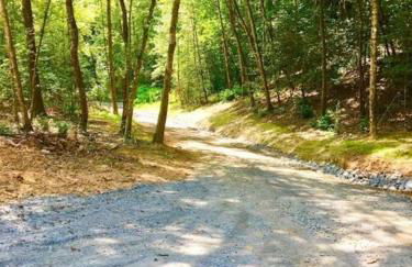 Art's Bungalow-wooded seclusion 1 mi to Deep Creek and Bryson City - Foto 25