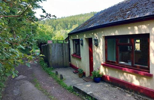 Walker's Rest - Photo 36