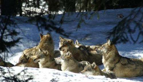 Les LOGIS DE LA CHAPELLE classés 3 étoiles - Foto 3