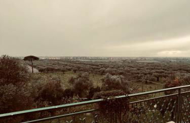 Tenuta Re Ferdinando - Foto 7