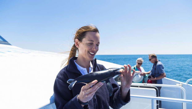 Whale Watching Cruise - Photo 5