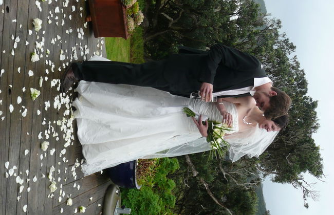 Bethells Beach Cottages - Foto 37