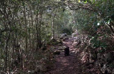 Crosa tra le Nuvole - Foto 40