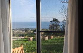 Biscoitos Top View - Photo 29