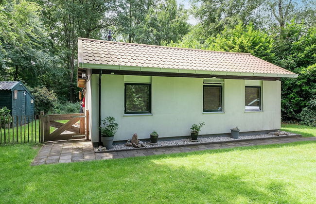 House in Hunzebergen Near Forest Trails - Foto 33