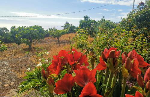 CASA rural DOLORES en Adeje - Foto 63