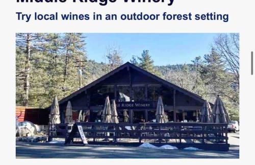 Blissfully Wild -with Hot Tub and pets are welcome - Foto 18