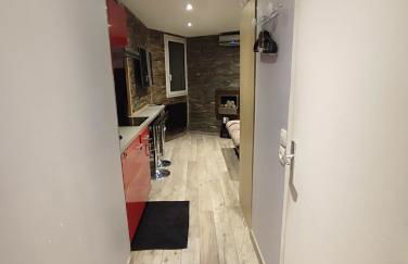 Studio les 2 Alpes au Village 1800m-Commerces et télésiège à 50m-Retour ski au pied - Photo 12