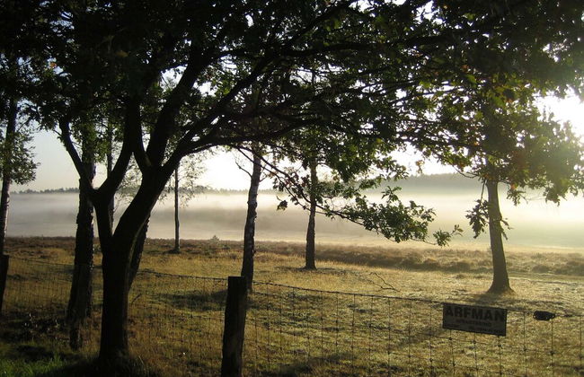 Hoenderloo Getaway With Pool - Foto 40