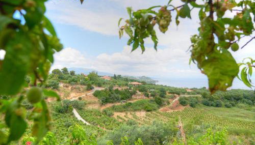 Guesthouse Agia Triada - Foto 5