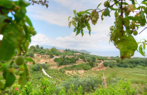 Guesthouse Agia Triada - Foto 5