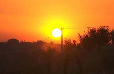 Residence Colle Veroni - Foto 31