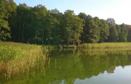 Dom Nad Jeziorem Staw - Foto 26