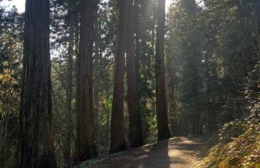 Rosie's Place: Furnished Apartment with Style - Foto 34