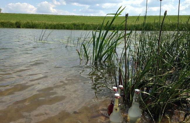 Elbwiesenhaus Modern Retreat - Foto 17