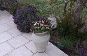 La casetta di samba - Foto 15